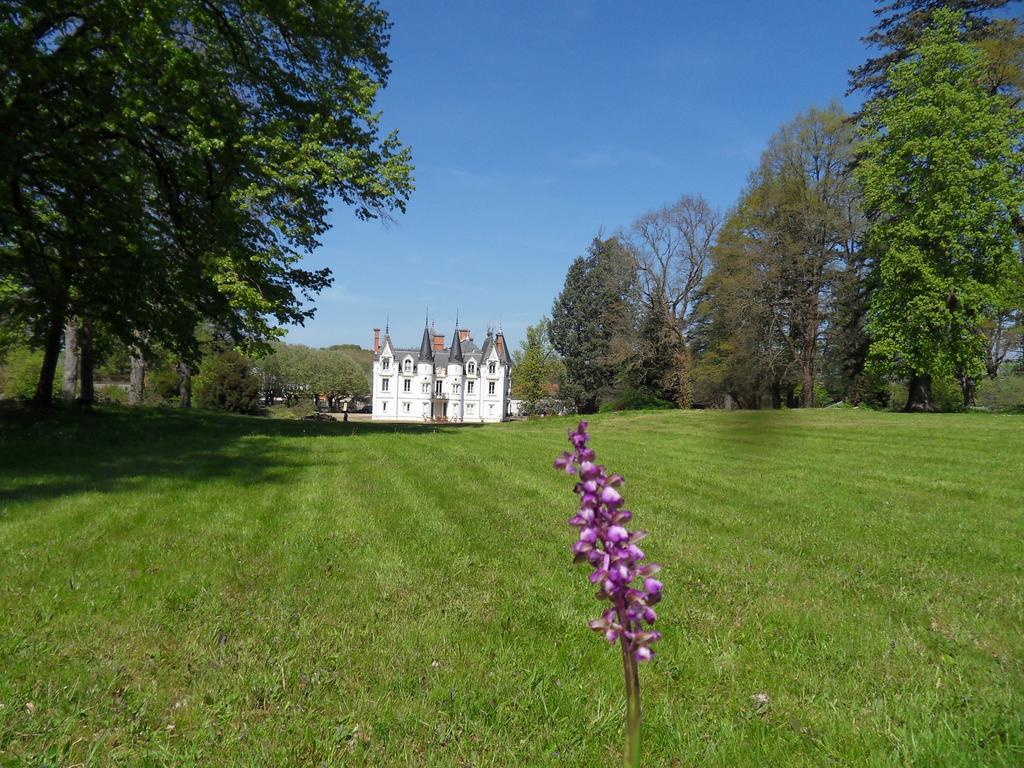 Chateau De La Motte Noailly Eksteriør billede